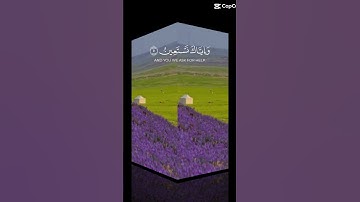 سورة الفاتحة بصوت الشيخ عبد الرحمان السديس.
