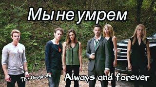 ► The Originals _ Мы не умрем (4x02)