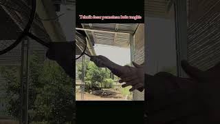 Tugas Tutorial 2 Penjas