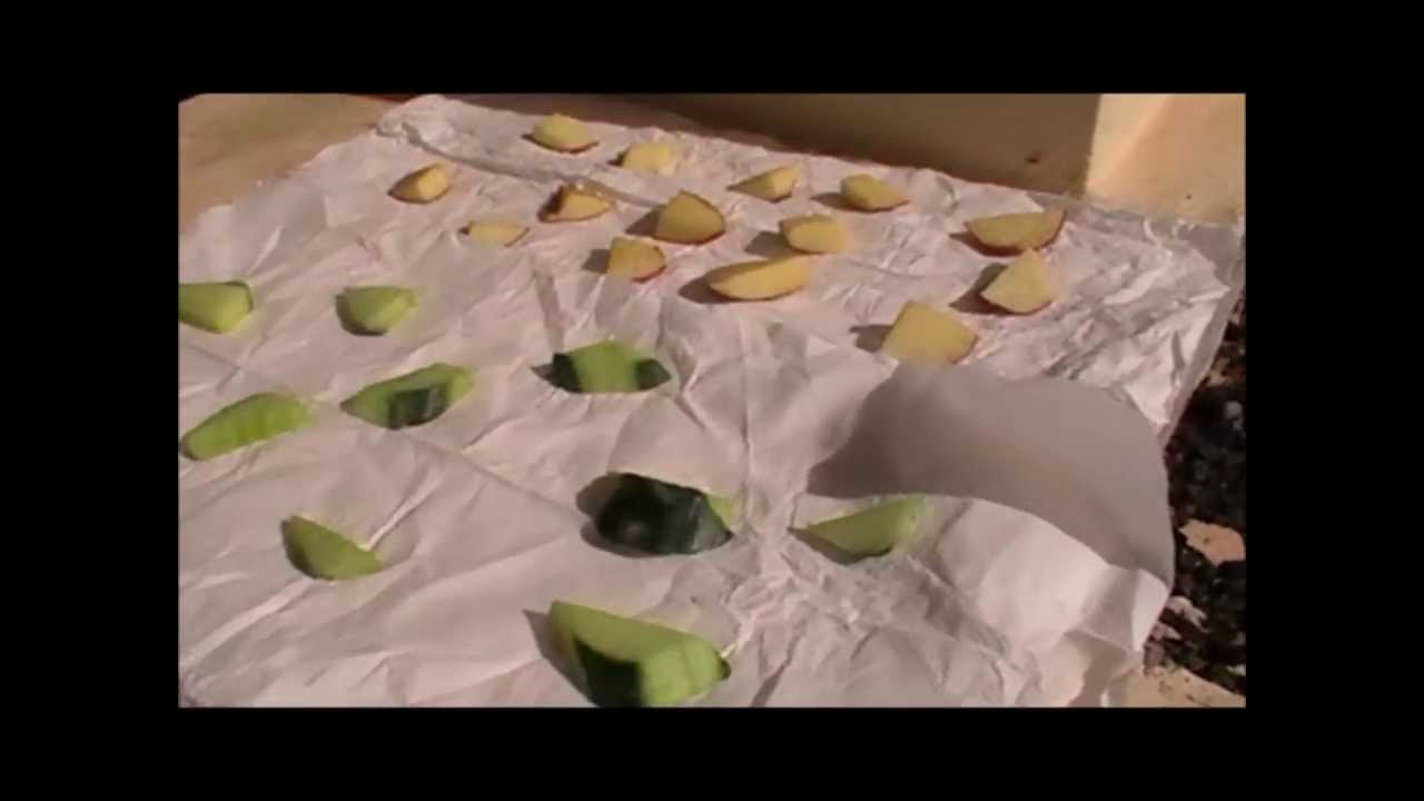 Comment faire des friandises fait maison pour son cochon d'Inde ? - YouTube
