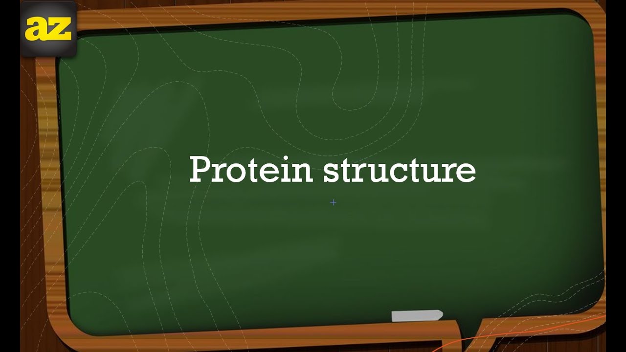 04. Protein structure شرح بالعربي