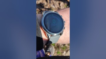 Fossil Gen 6 Bug when set max brightness in sunlight