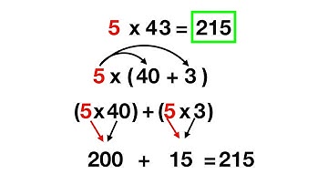 DIstributive Property 2x1 digit