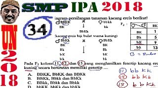 34. perhatikan diagram w tanaman kmng ercis berikut! pada f; kolom 11,
12, dan 15 yang menghasilkan fenotip kacang emis biji keriput warna
kiming secara beru...