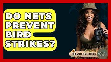 Do Nets Prevent Bird Strikes? - Bird Watching Diaries