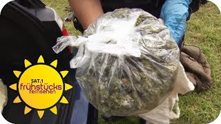 DROGENKONTROLLE auf einem GOA FESTIVAL | SAT.1 Frühstücksfernsehen | TV