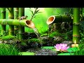 Relaxing Piano Music & Water Sounds 24/7 - Ideal for Stress Relief and Healing