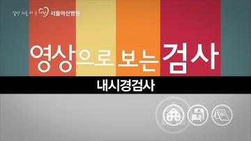 내시경검사 [영상으로 보는 검사]