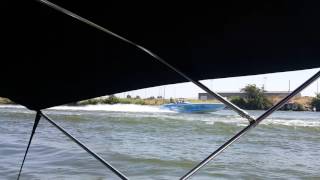 Big cat poker run discovery bay 2016