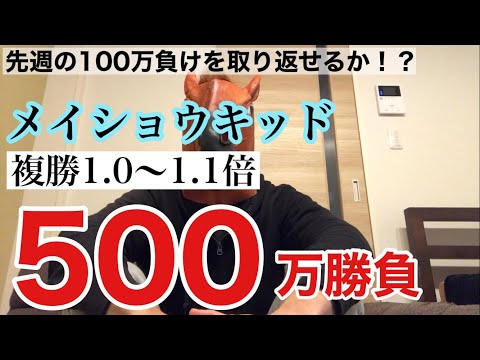 【閲覧注意】2/13メイショウキッドに複勝500万勝負した結果、、、【競馬】【複勝】