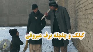 گیلک و چلچله برف میروفن