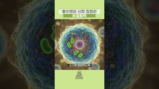 AI로 보는 컴퍼니 인사이드 | 비엘팜텍: 치료가 아니라 제거, 제약의 룰을 바꾸는 기업