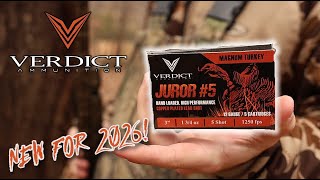 VERDICT JUROR #5 - PATTERN TESTING - NEW AMMO FOR 2026! 💥