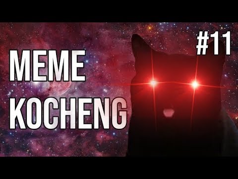 kocheng-uncensored-!-meme-kucing-#11