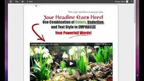 Marketer Plugin - Add a YouTube Video in Your WordPress Blog