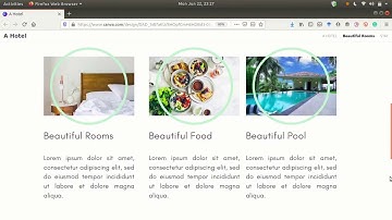 Basics of Web Design | Day 2 of 100 Days of Code