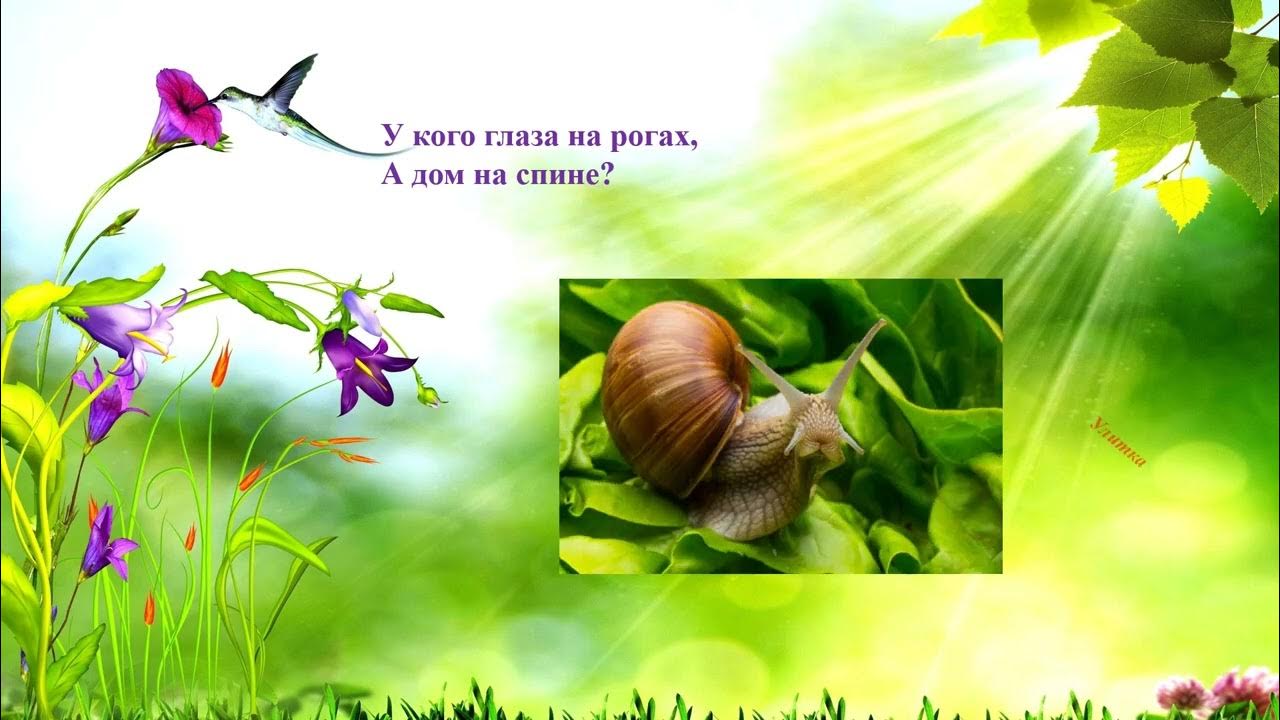 Глаза на рогах дом на спине. Глаза на рогах дом на спине. Глаза на рогах дом на спине. Череп козла. Тату козерог.