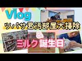 【Vlog】土曜日の1日。大掃除とミルク誕生日