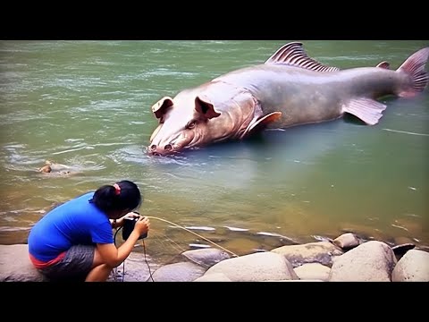 видео: 100 Необычных Случаев в Реке Снятых на Камеру