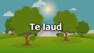 27.Te laud