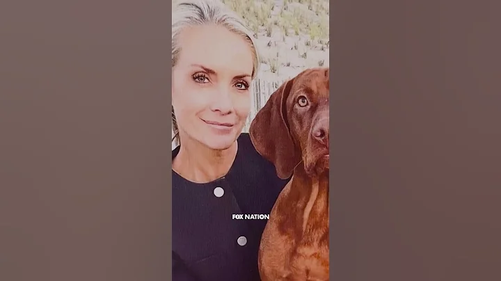 Jesse Watters and Dana Perino compare offices 🤣