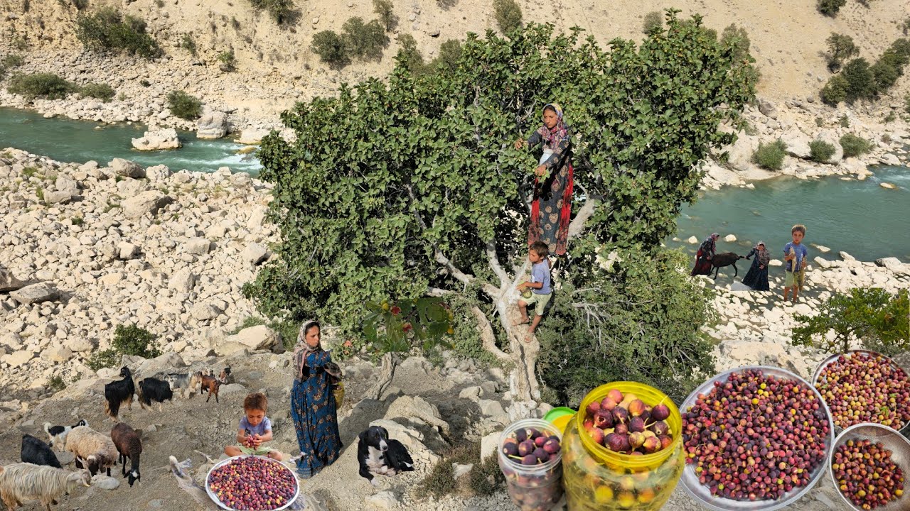 Кочевая жизнь: Девушки-кочевницы у дикой реки🌄 | Летние приключения кочевников 🎥