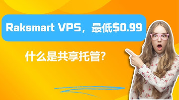 什么是共享托管？ - Raksmart