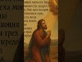 «Помилуй меня, Боже!»