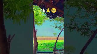 thenks for 10M views#funny #sports #ajuba #bollywood