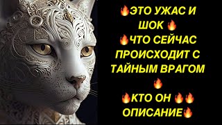 🔥ЭТО УЖАС  И ШОК❗️ ЧТО СЕЙЧАС ПРОИСХОДИТ С ТАЙНЫМ ВРАГОМ❗️КТО ОН⁉️ОПИСАНИЕ❗️🔥