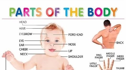 IGNOU DECE 4 project video activity 15(body parts names) by Harpreet kaur