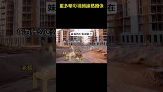 #猫meme #搞笑 #表情包 #貓meme #貓貓最可愛