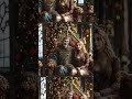 Безумный мудрец. брОк по расчёту он такой.. #metal #music #музыка #панк #rock #рок #punk