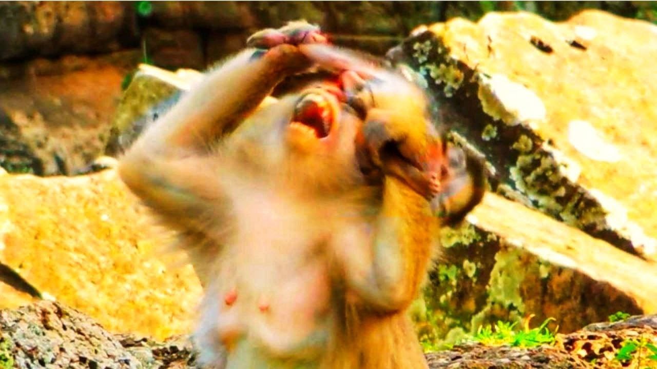 Rose was reacting so straight with other babies after she miscarried.