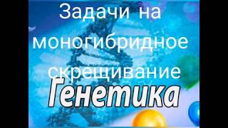 Решение задач на моногибридное скрещивание. Первый и второй закон Менделя.