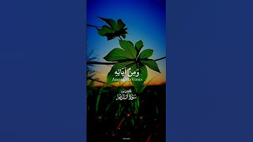 وَمِنْ آيَاتِهِ أَنْ خَلَقَكُم مِّن تُرَاب،#قرآن كريم #المنشاوي