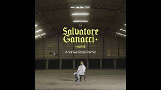Salvatore Ganacci - Horse Remix