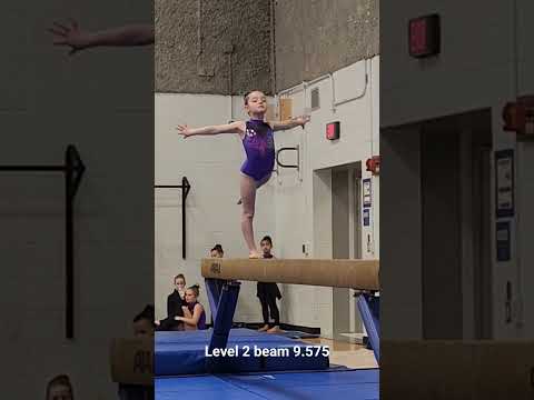 level 2 beam