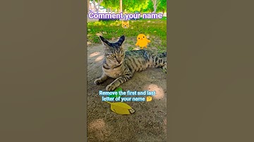 Remove the first and last letter of your name so funny🦸‍♂️ #comment #shorts #name #puppy