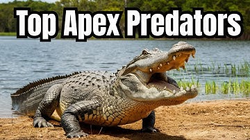 Top Apex Predators in the World || Natures Fiercest Hunters