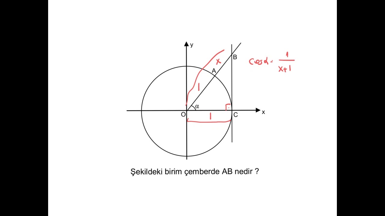 TRİGONOMETRİ ŞEKİLLİ SORULARI | Yeni Nesil Matematik