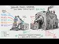 PoTRE: Smarter Reasoning Through Cognitive Diversity