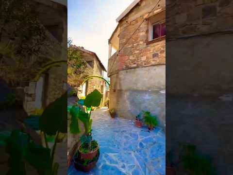 تيزي وزو قرية الساحل بوزغن القبايل تيزي وزو     