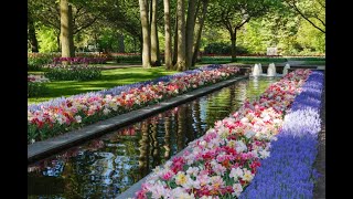 Video thumbnail of "Keukenhof 23 april 2023"