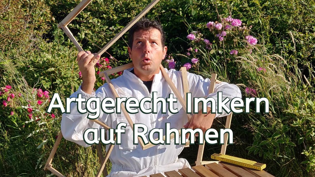 Das beste Rahmenmaß?! Für die Bienen, für dich? Chemiefrei Imkern ohne Kompromiss! Treatmentfree
