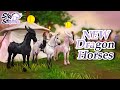 NEW Dragon Horses & Pets ✧˖°