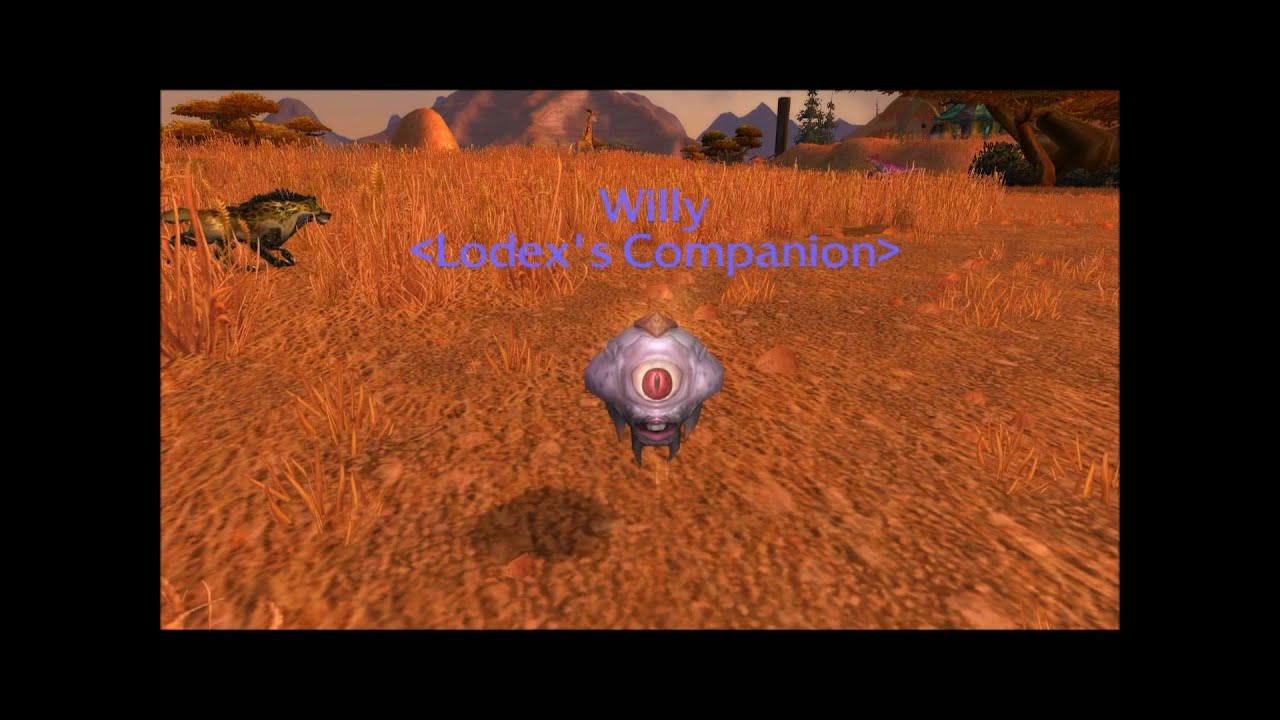 Willy (Children's Week Pet)