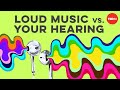 can loud music damage your hearing? - Heather Malyuk TED-Ed