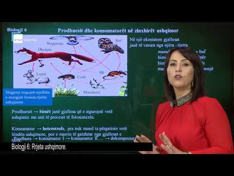 Biologji 6 - Rrjeta ushqimore. Prodhuesit dhe konsumatorët në zinxhirët ushqimorë.