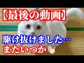 【完全終了】駆け抜けました！またいつか
